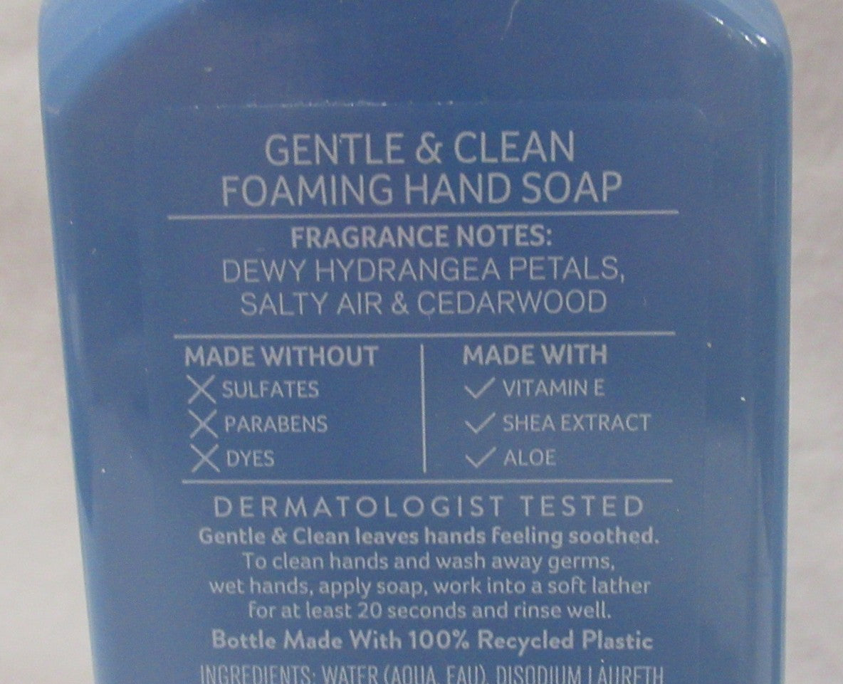 Foaming Hand Soap Set - Gentle & Clean, Hydrangea & Shoreline Scent, 8.75 fl oz, Lot of 2