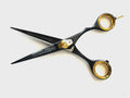 Professional 5.5 Inch German Stainless Steel Hair Cutting Scissors Shears