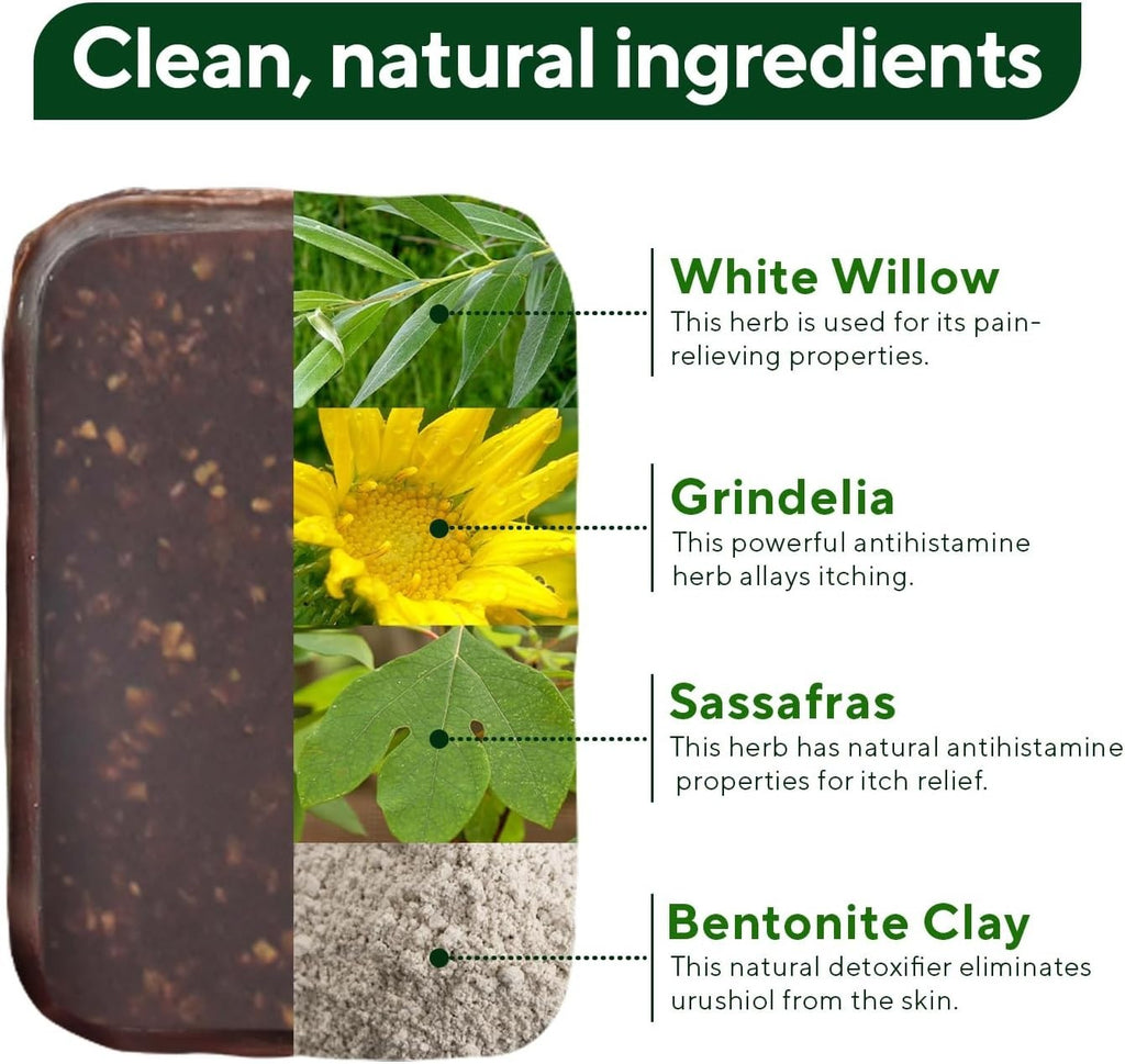 Poison Ivy & Oak Relief Soap Bar - Natural Skin Irritant Treatment (2 Pack)