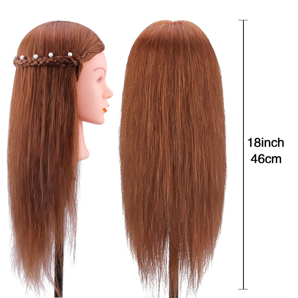 Mannequin Head with 100% Human Hair for Hair Styling Practice - Dark Brown