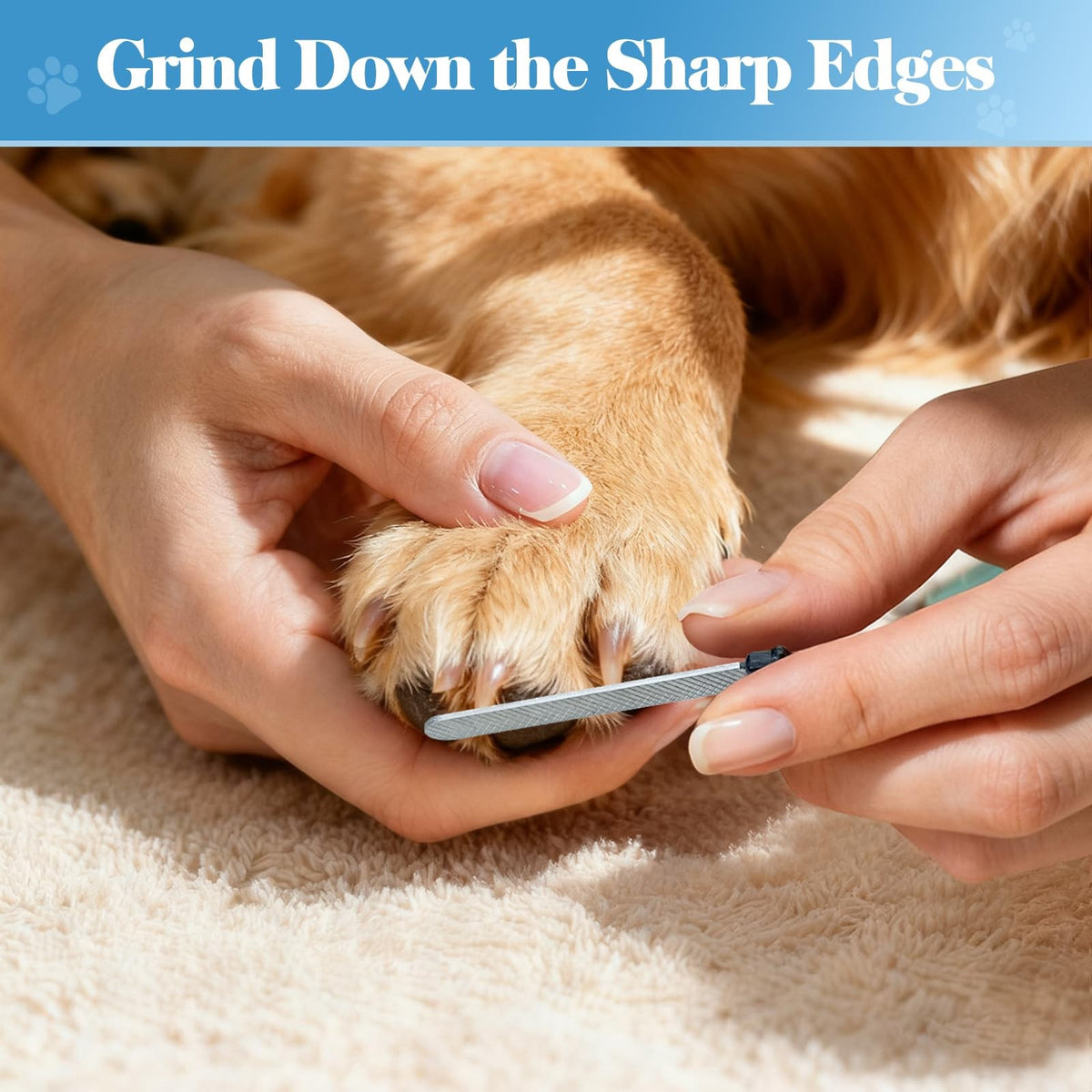 Heavy Duty Dog Nail Clippers & Trimmers with Safety Guard - Pet Grooming Tool