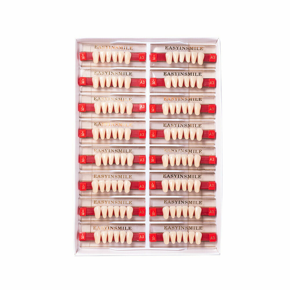 Denture Teeth Set Acrylic Resin Full Upper & Lower Teeth - Multiple Shades
