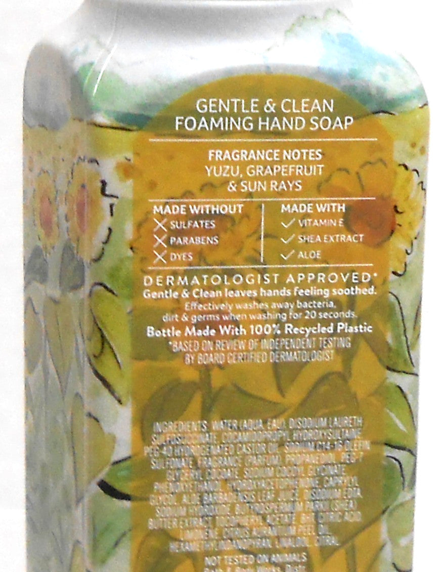 Foaming Hand Soap Set - Gentle Citrus Fragrance, 8.75 fl oz Each