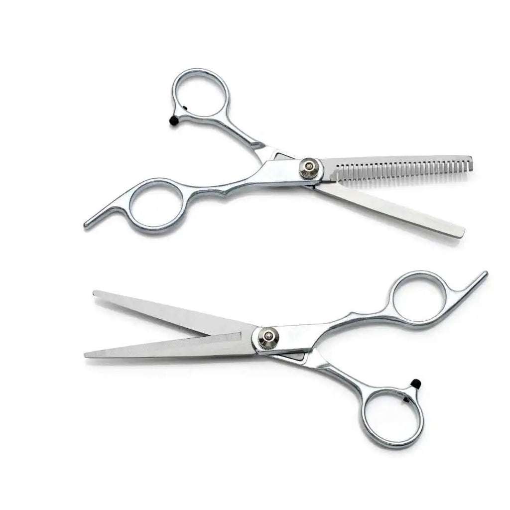 Professional Hairdressing Scissors Set with Thinning Shears - 6 Inch Salon Kit