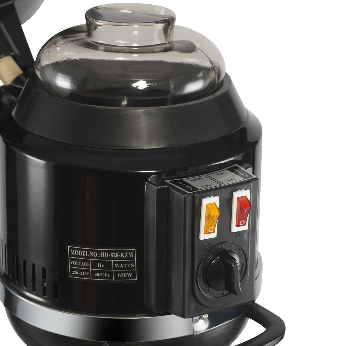 Professional Hair Steamer for Salon & Home Use with Adjustable Temperature & Timer