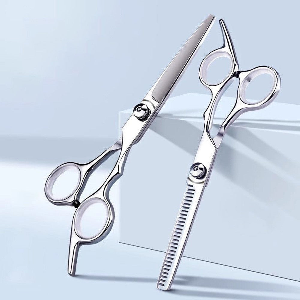 Professional Hair Cutting Scissors Set - Thinning & Salon Shears, 2 Pieces