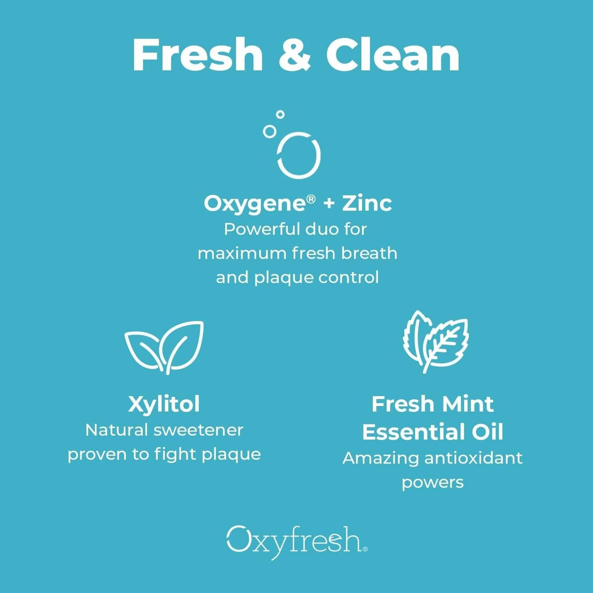 Zinc Mouthwash for Fresh Breath & Oral Care - Fluoride-Free, Natural Essential Oils