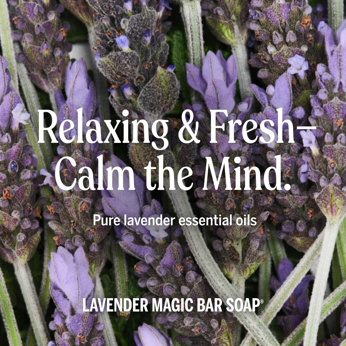Lavender Bar Soap 5oz - 2 Pack Vegan & Sensitive Skin Friendly
