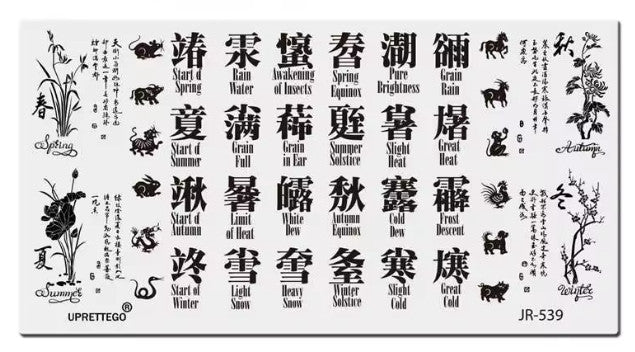 Nail Stamping Plate JR-539 for Nail Art & Design