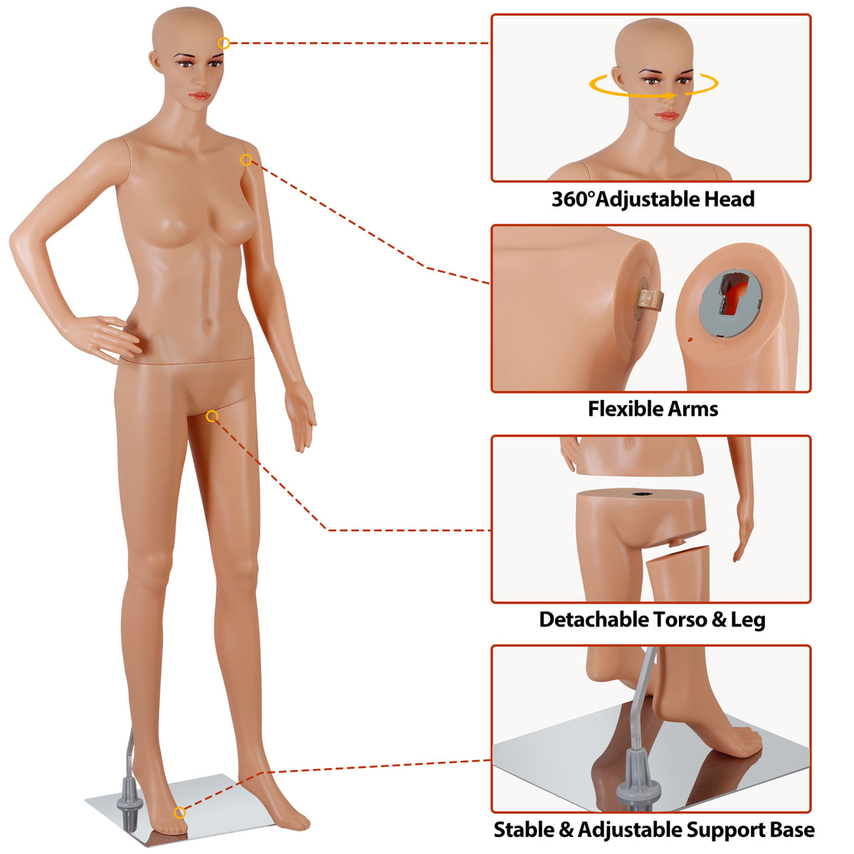 Female Full Body Dress Form Mannequin - Adjustable Realistic Display with Base Stand