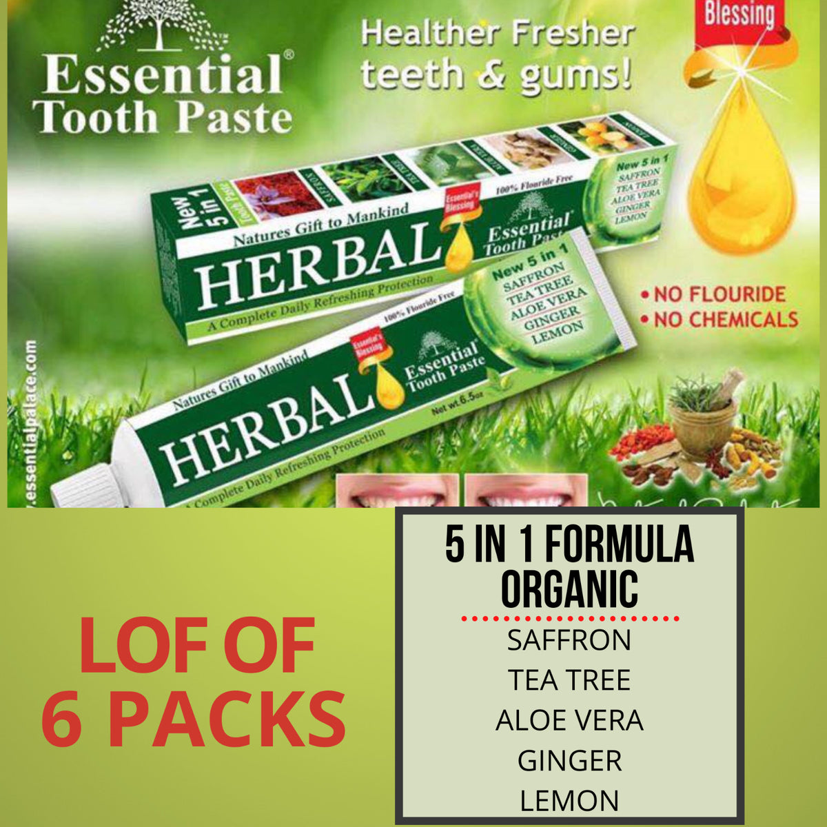 Herbal Fluoride-Free 5-in-1 Toothpaste Set with Aloe Vera - 6 Pack