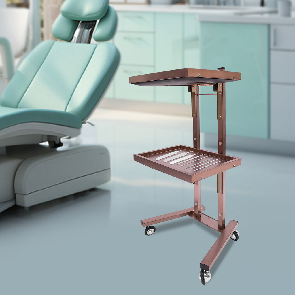 2-Tier Hairdressing Salon Trolley Cart with Trays & Wheels
