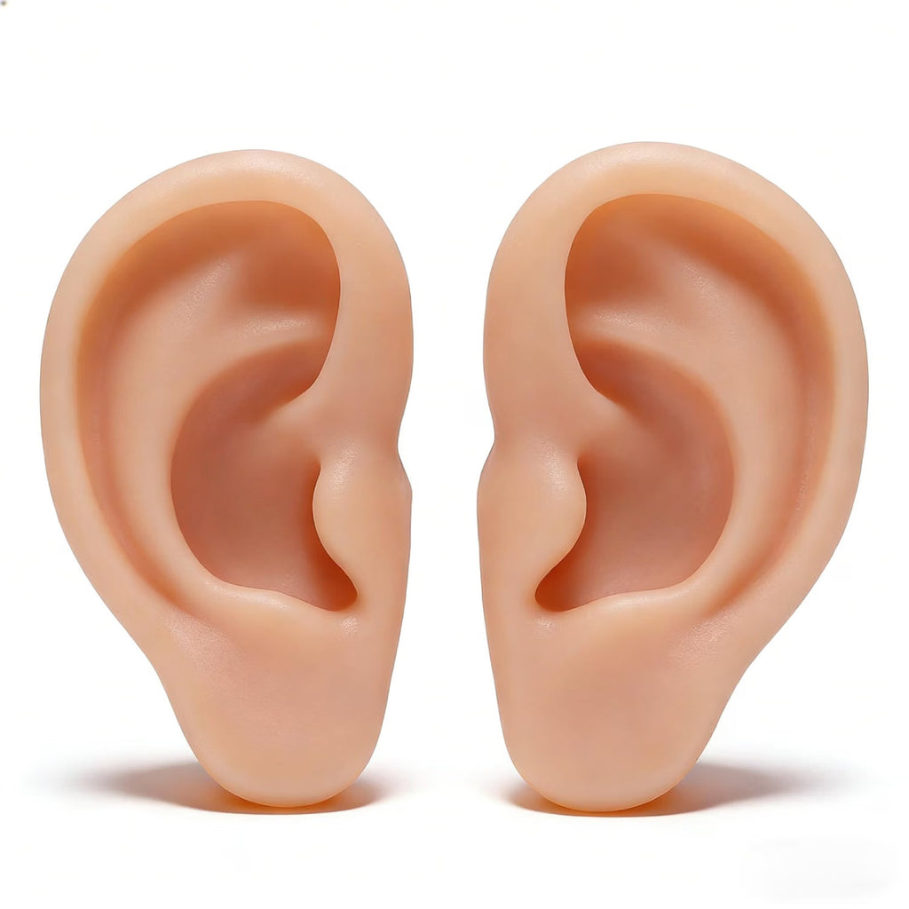 Silicone Ear Model - Realistic Practice Ear for Piercing Training, Reusable