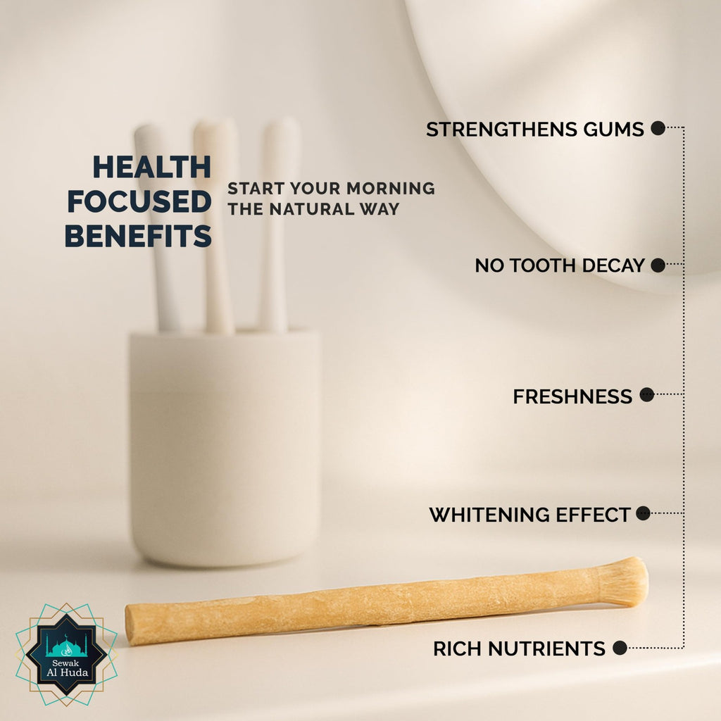 Natural Chewing Miswak Sticks with Holder - Pack of 4, Chemical-Free Oral Care