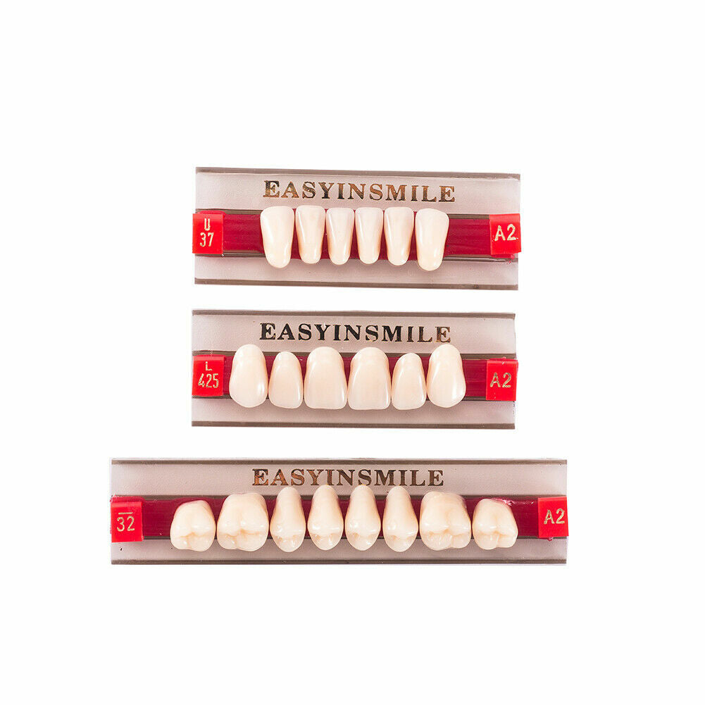 Denture Acrylic Resin Full Set for Upper and Lower Teeth - Shade A1/A2/A3