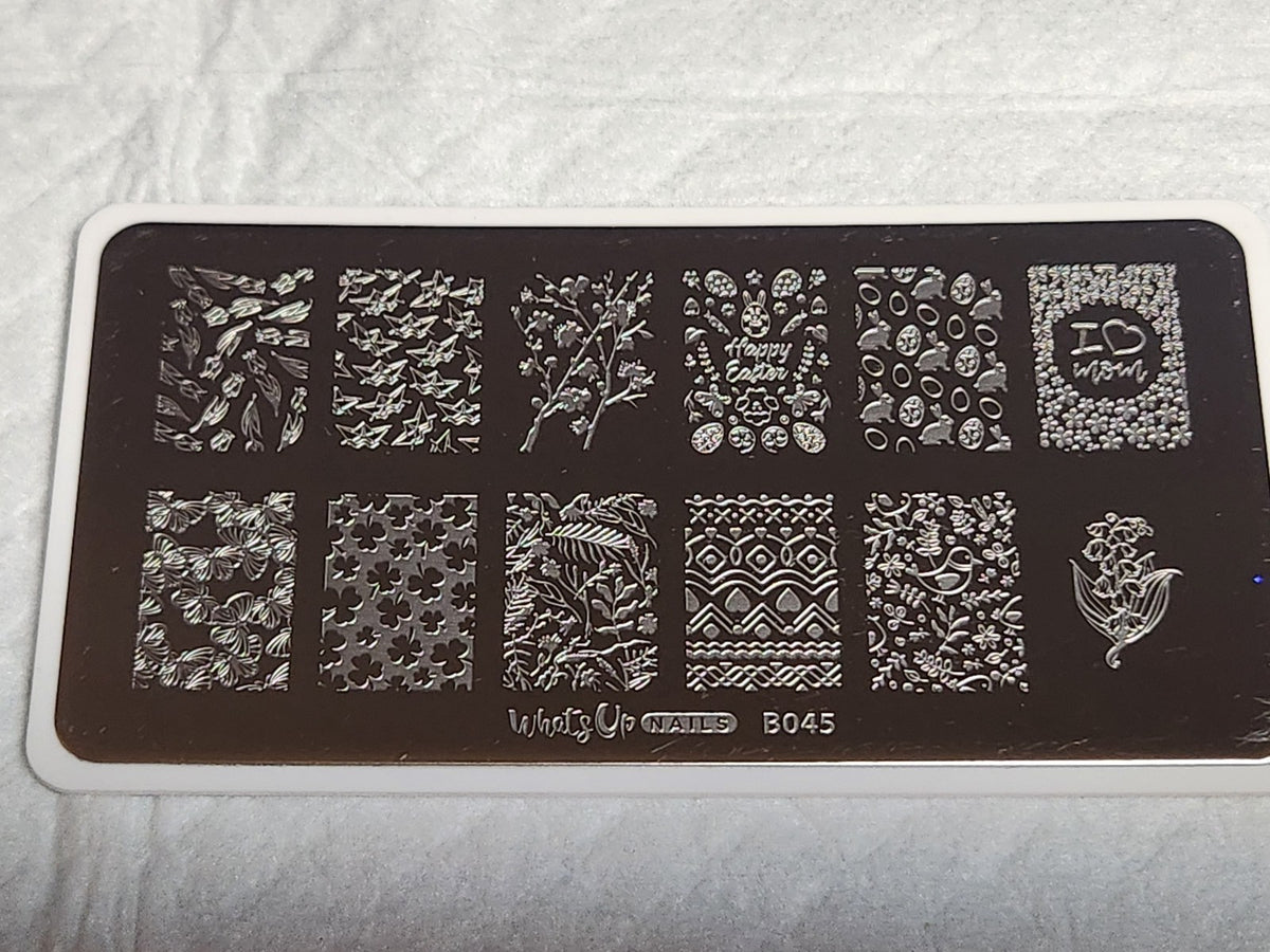 Spring Nail Stamping Plate B045 for Nail Art - What's Up Nails
