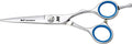 Professional 5.5 Inch Hair Shear Scissors Japanese Stainless Steel for Right Hand