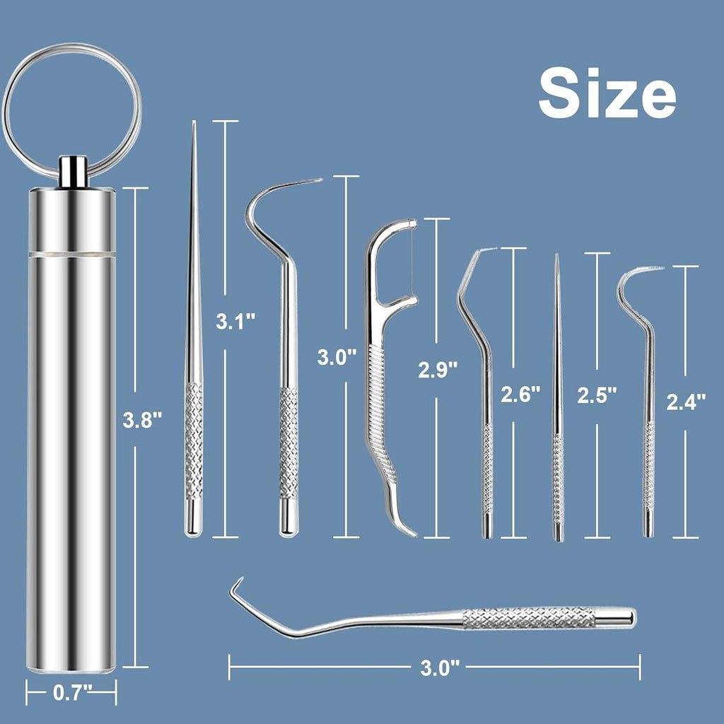 Reusable Stainless Steel Toothpicks Set Portable Teeth Cleaning Kit