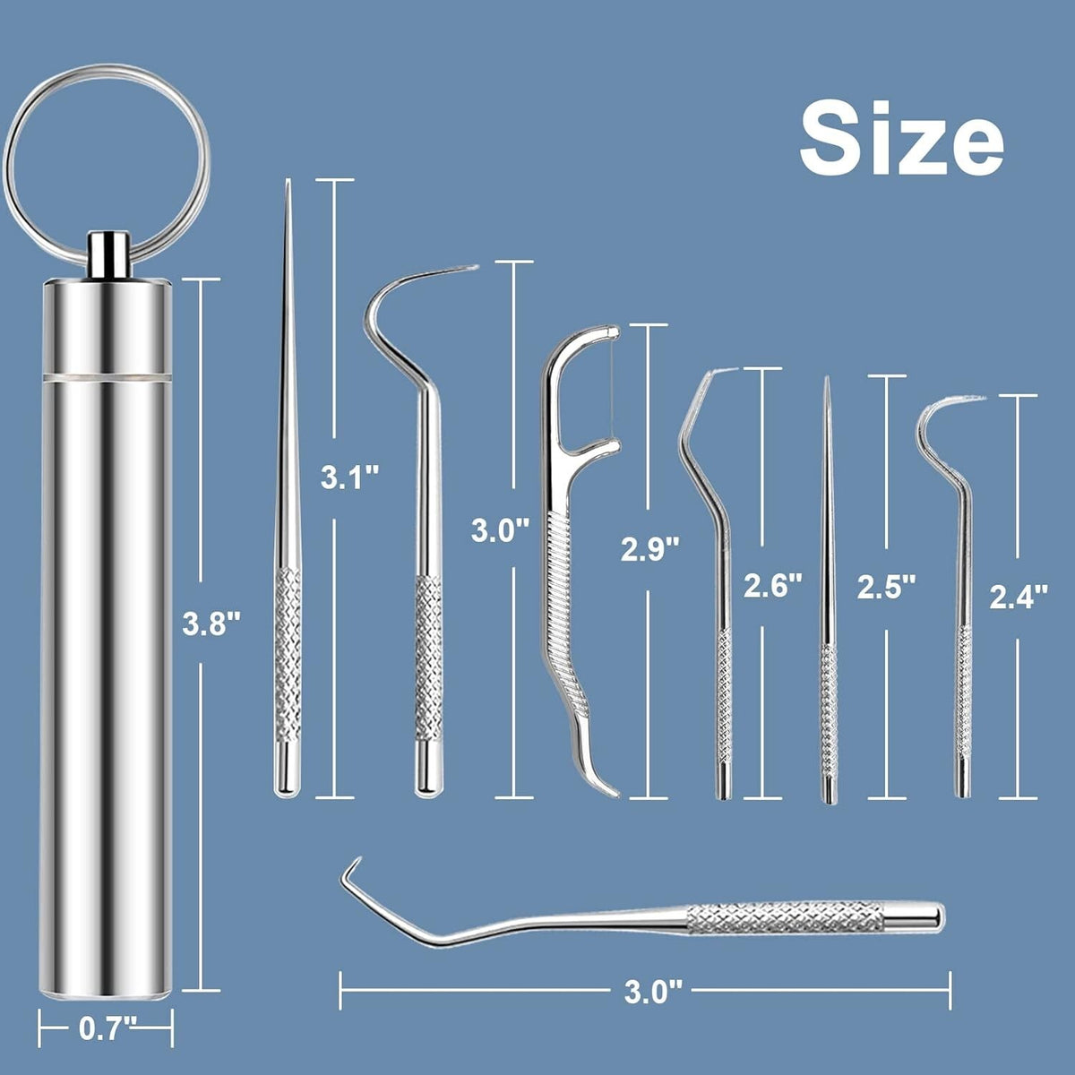 Reusable Stainless Steel Toothpicks Set Portable Teeth Cleaning Kit
