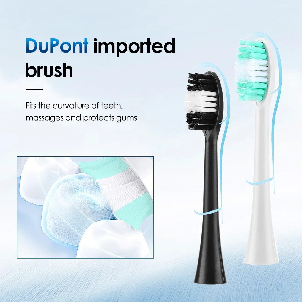 Rechargeable Electric Tooth Cleaner with 6 Modes, Tartar Remover, Waterproof