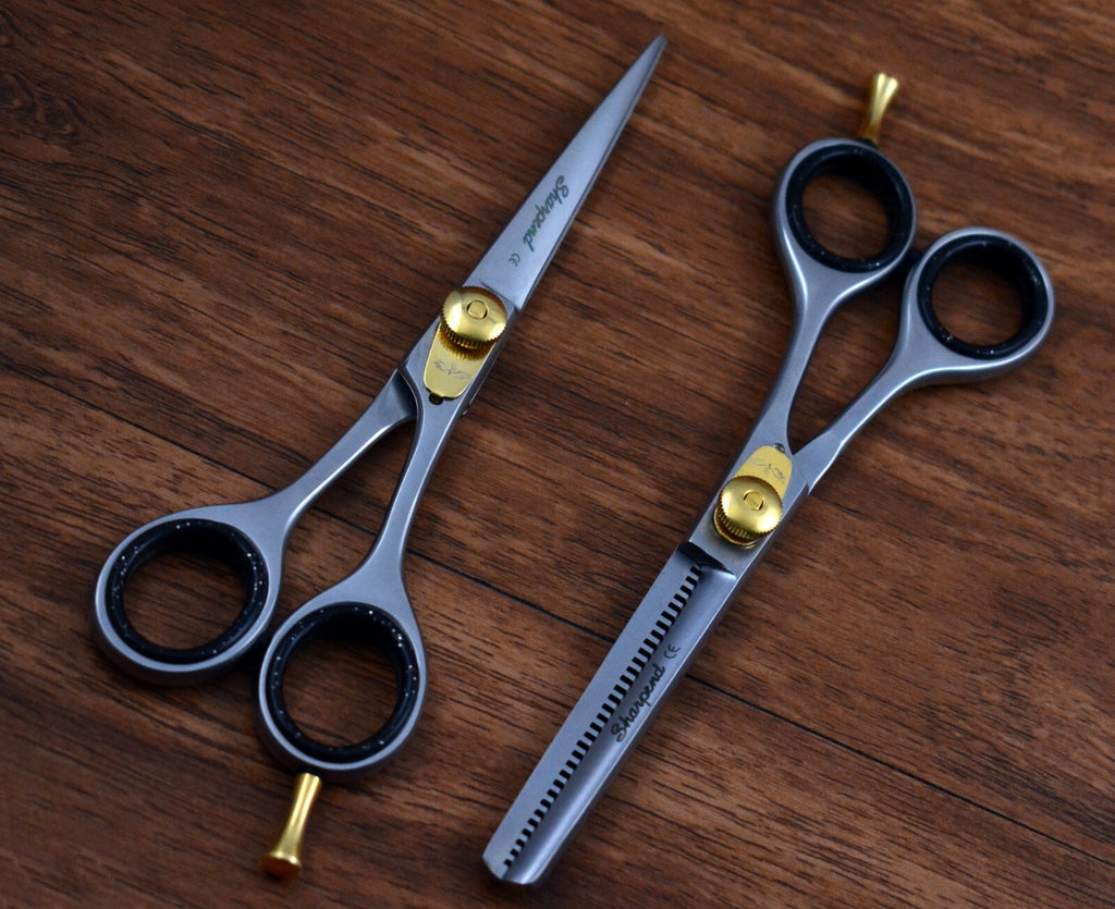6-Inch Professional Hair Cutting Thinning Scissors Set with Razor & Pouch