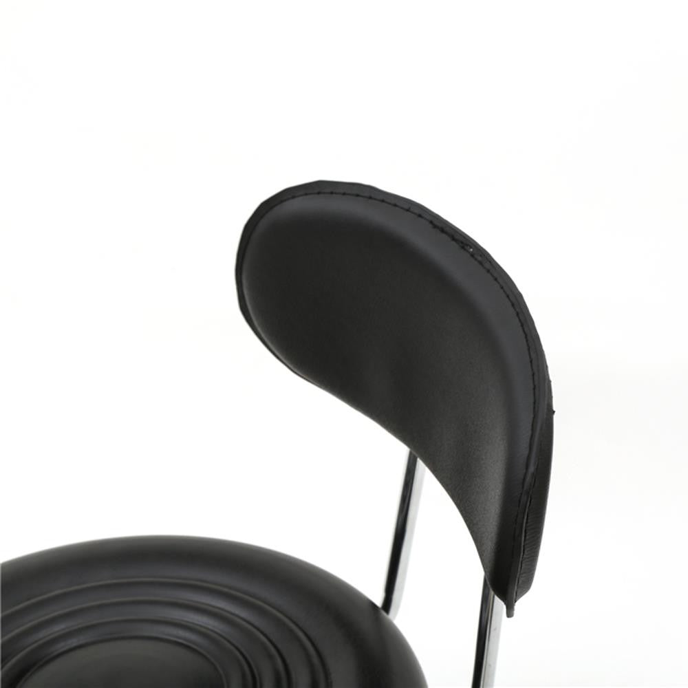 Adjustable Salon Stool with Backrest and Footrest for Hair & Beauty
