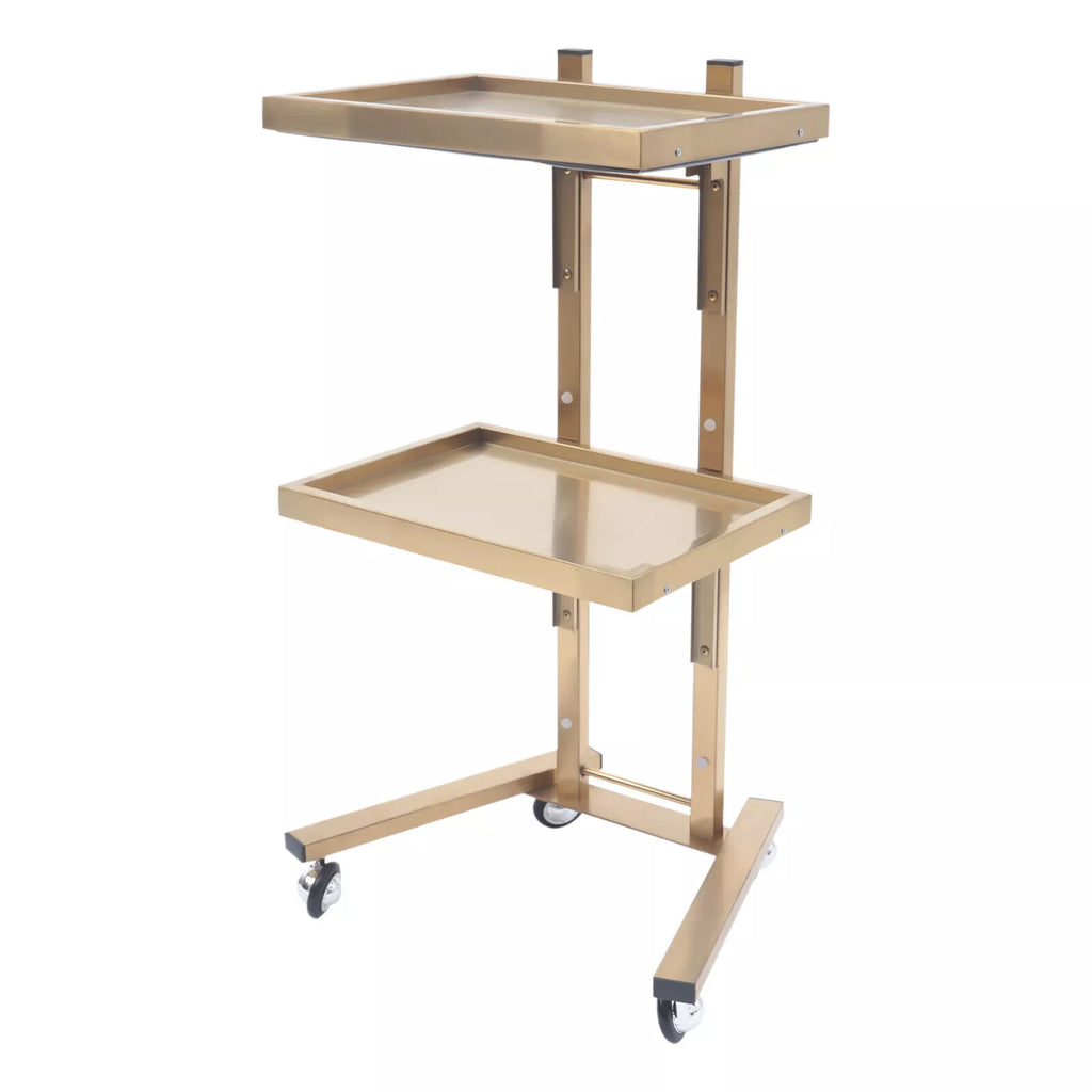 2-Tier Salon Trolley Cart with Wheels - Space-Saving Beauty & Spa Storage