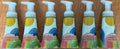 Plant-Based Citrus Sunshine Foaming Hand Wash - 6 Pack 10oz