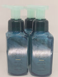 Earl Grey Mint Tea Hand Soap Set - Gentle Foaming Liquid Hand Wash
