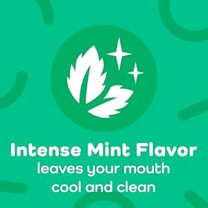Micro Mint Dental Floss Picks - 36 Count, Easy Grip, Tuffloss Technology