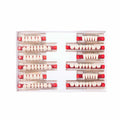 Denture Teeth Set Acrylic Resin Full Upper & Lower Teeth - Multiple Shades