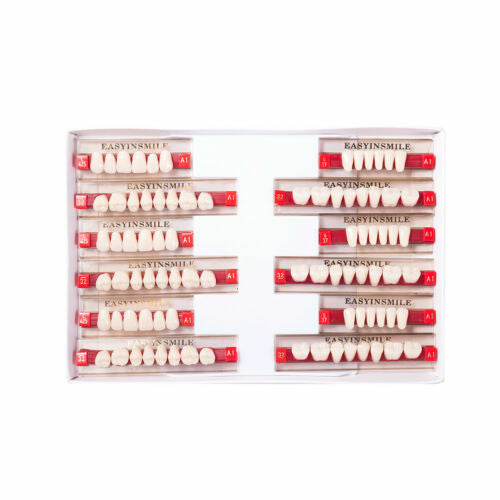 Denture Teeth Set Acrylic Resin Full Upper & Lower Teeth - Multiple Shades