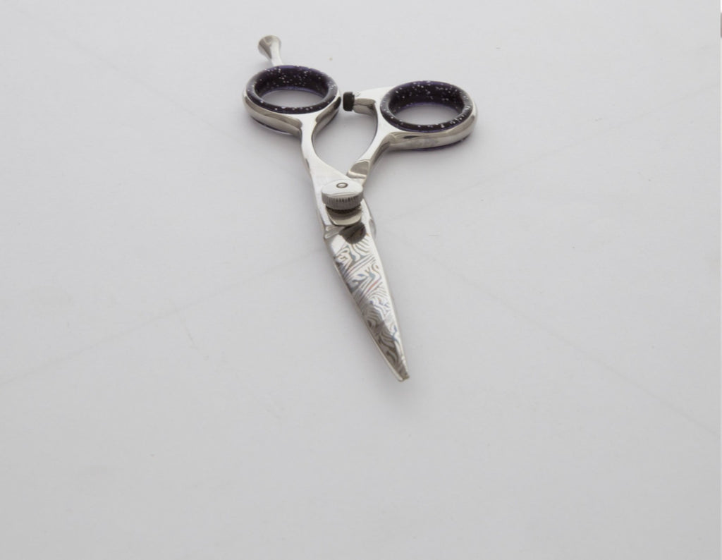 Professional 5.5 Inch Japanese Stainless Steel Hair Cutting Scissors with Convex Edge