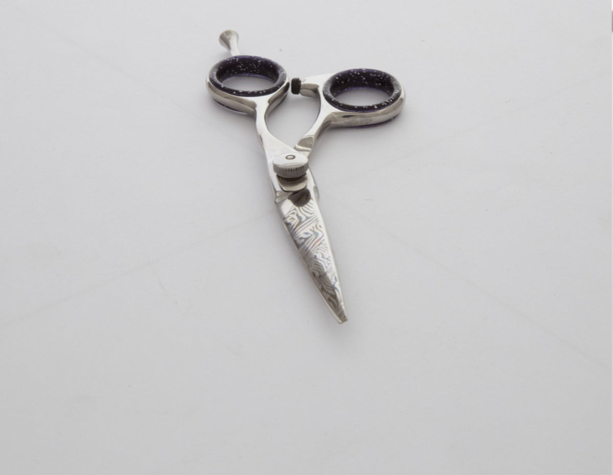 Professional 5.5 Inch Japanese Stainless Steel Hair Cutting Scissors with Convex Edge
