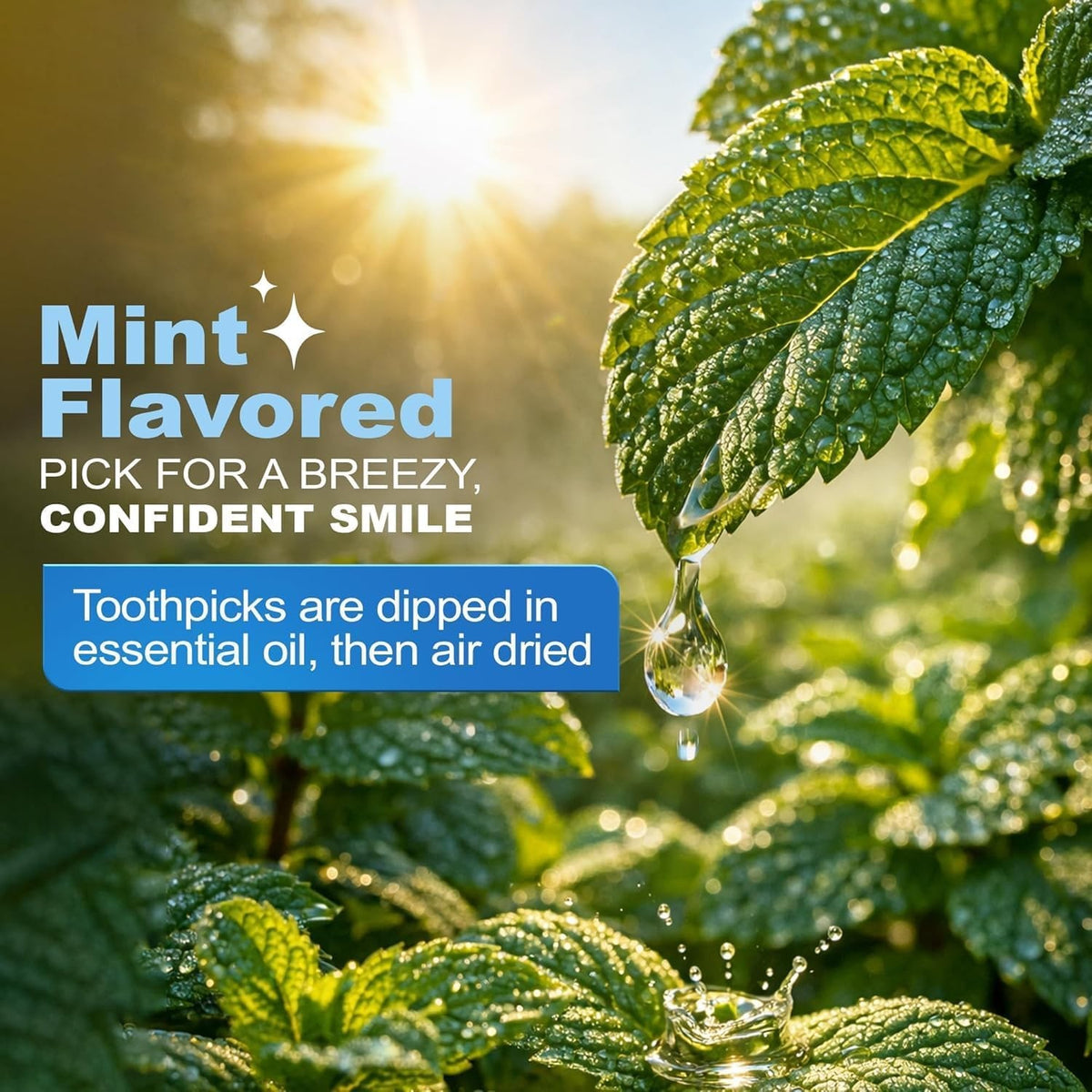 Mint Dental Picks for Plaque Removal - Wooden Toothpicks for Oral Hygiene