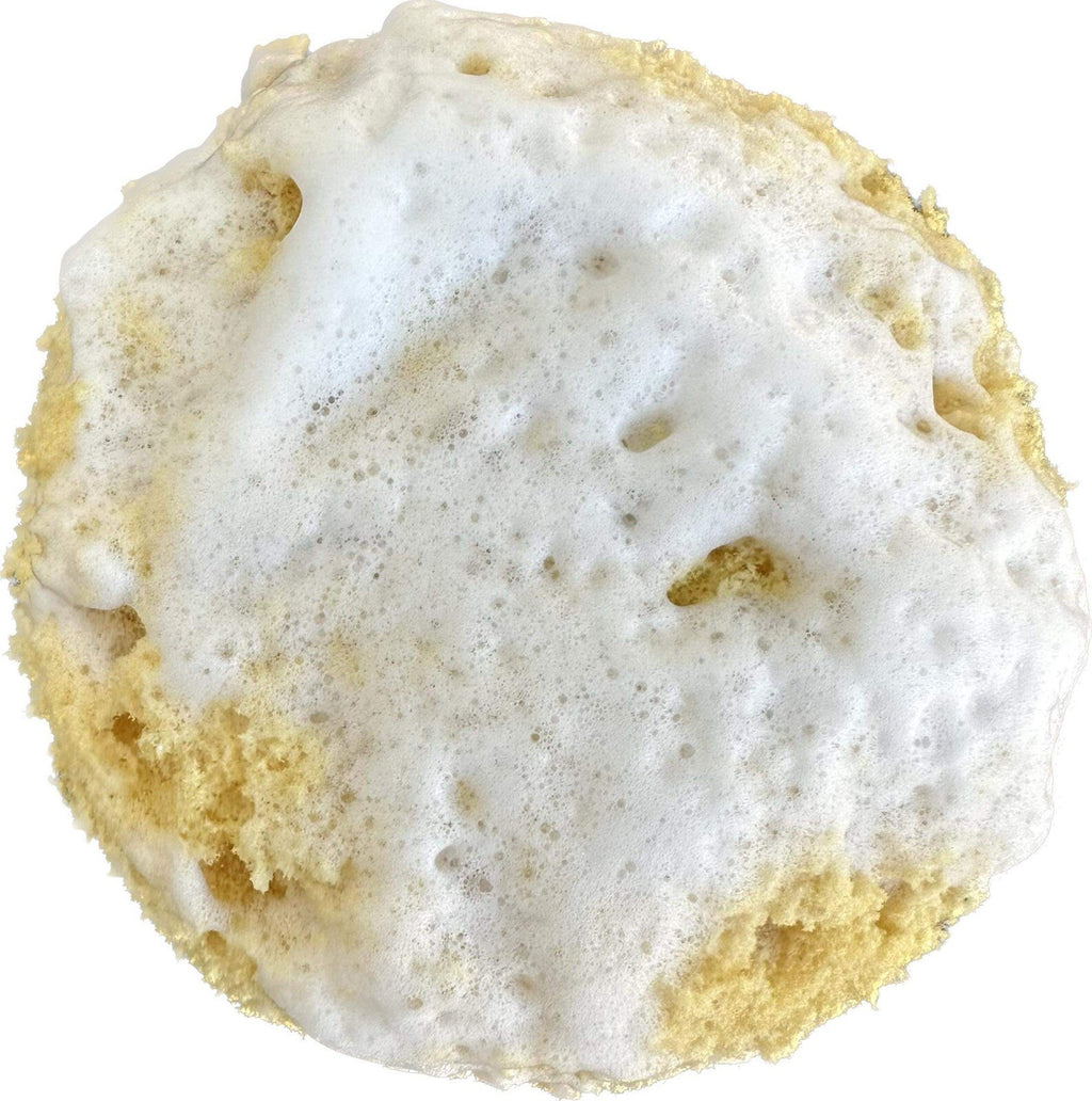 Exfoliating Foam Sea Sponge Pack of 6 for Shower & Bath - Redesign & Quick-Dry