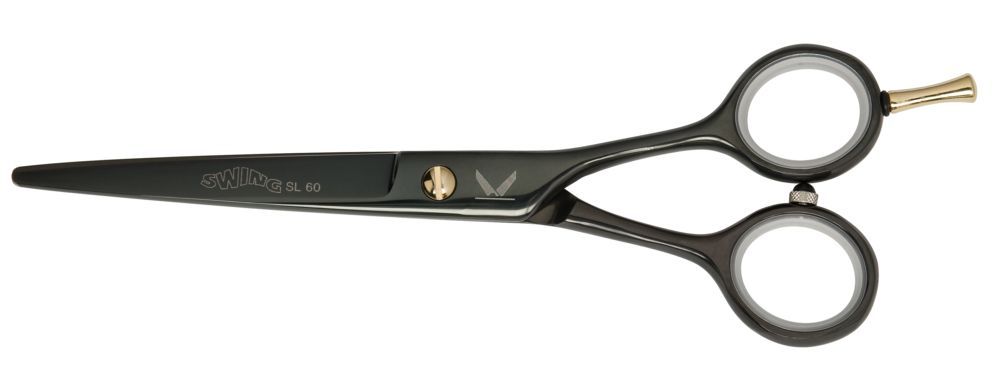 Professional Hairdressing Scissors 6 Inch Stainless Steel Shears for Salon Use