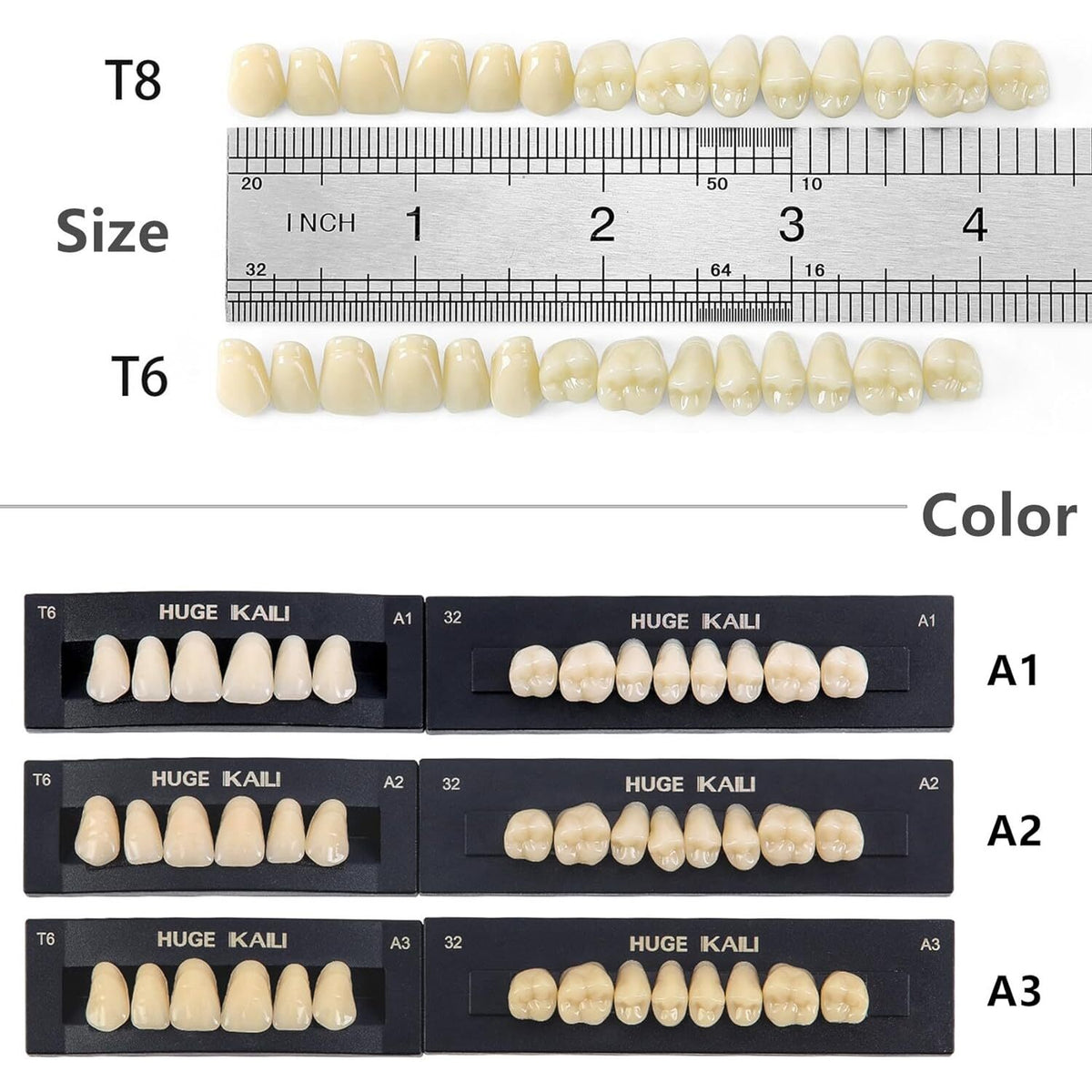 A2 T8 Denture Teeth Full Set - Upper and Lower Acrylic Resin False Teeth