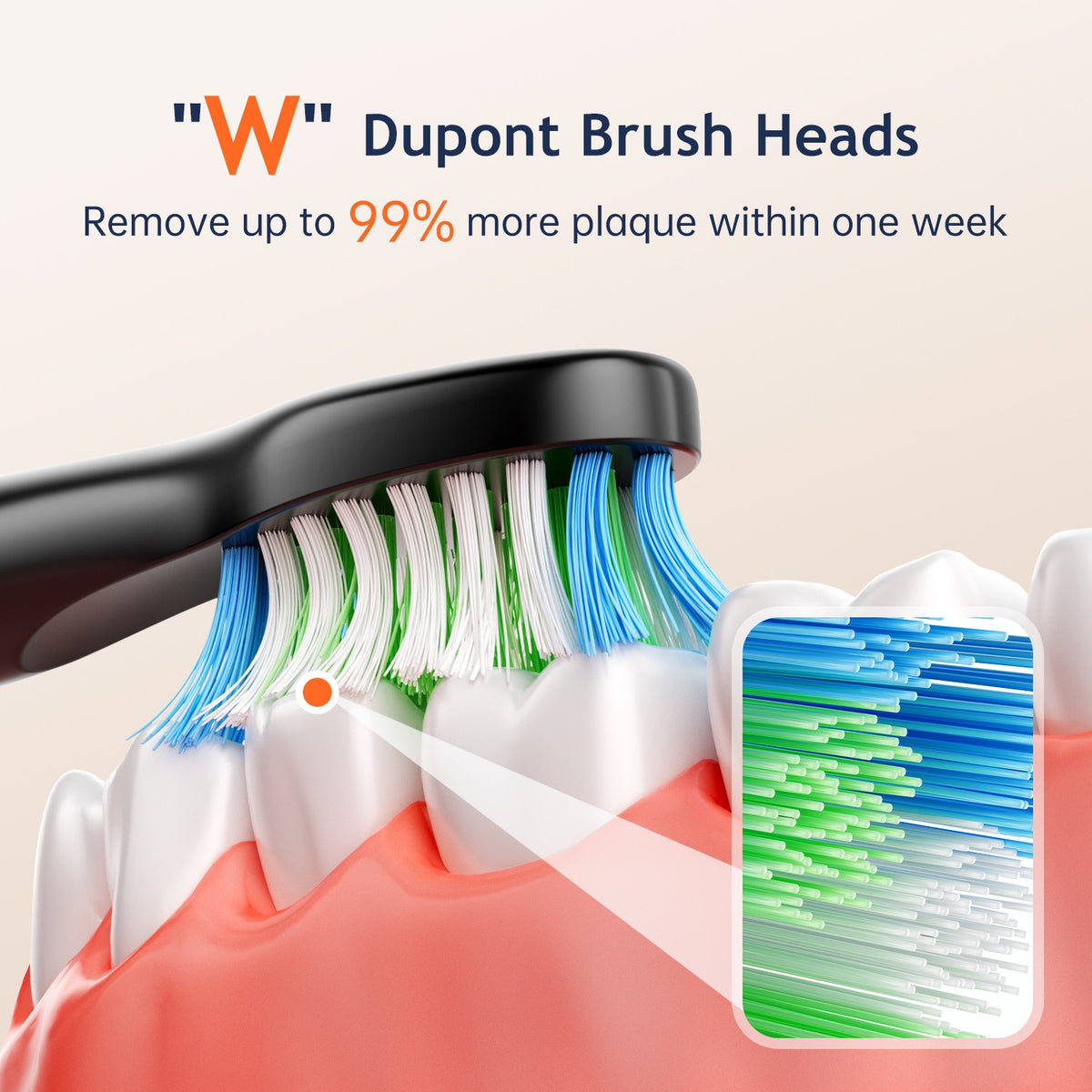 Electric Toothbrush with 6 Brush Heads, 5 Modes, Rechargeable, Waterproof