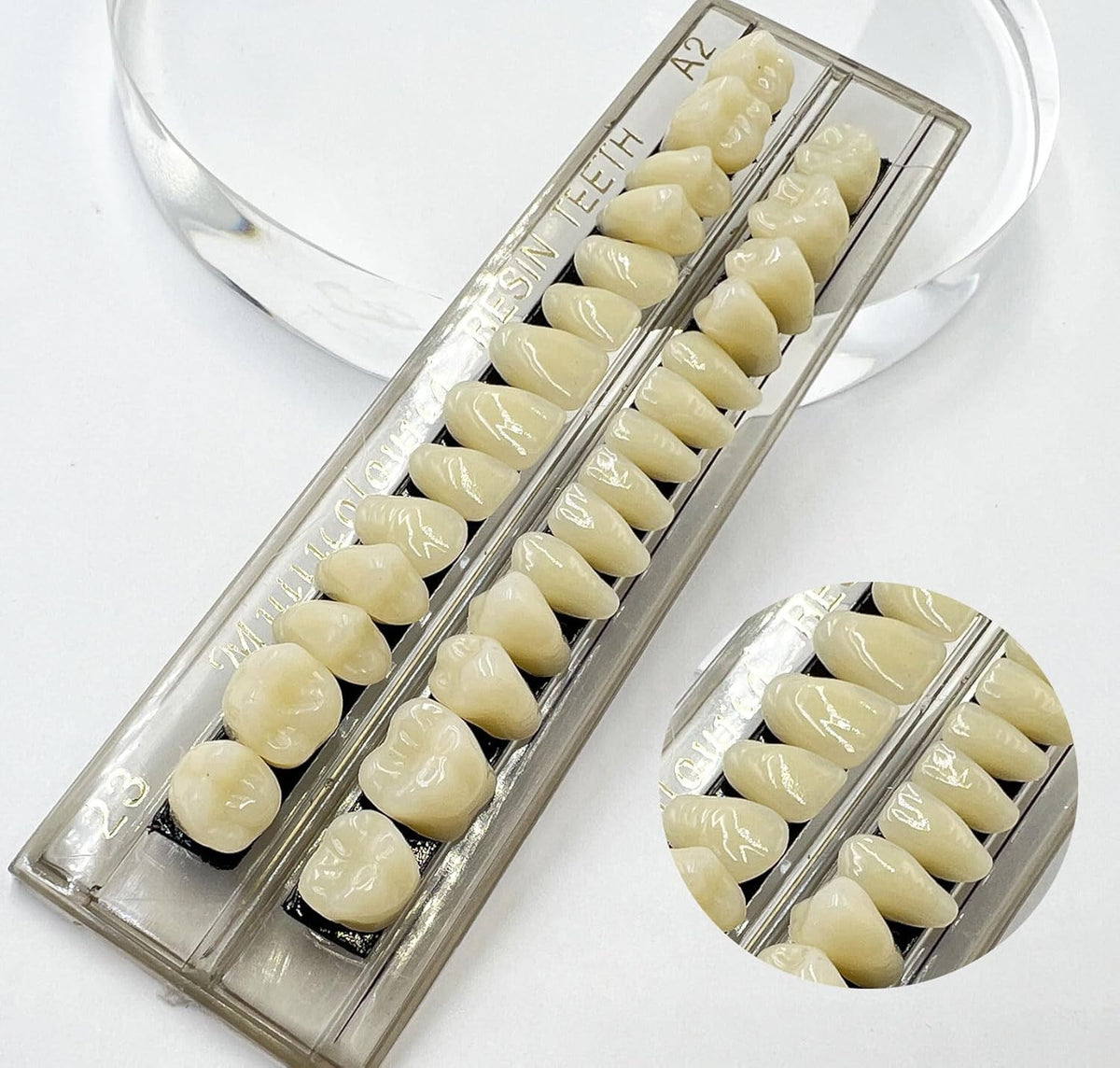 56 Pcs Fake Teeth Set - Dental Resin Upper and Lower Dentures for DIY & Halloween Props