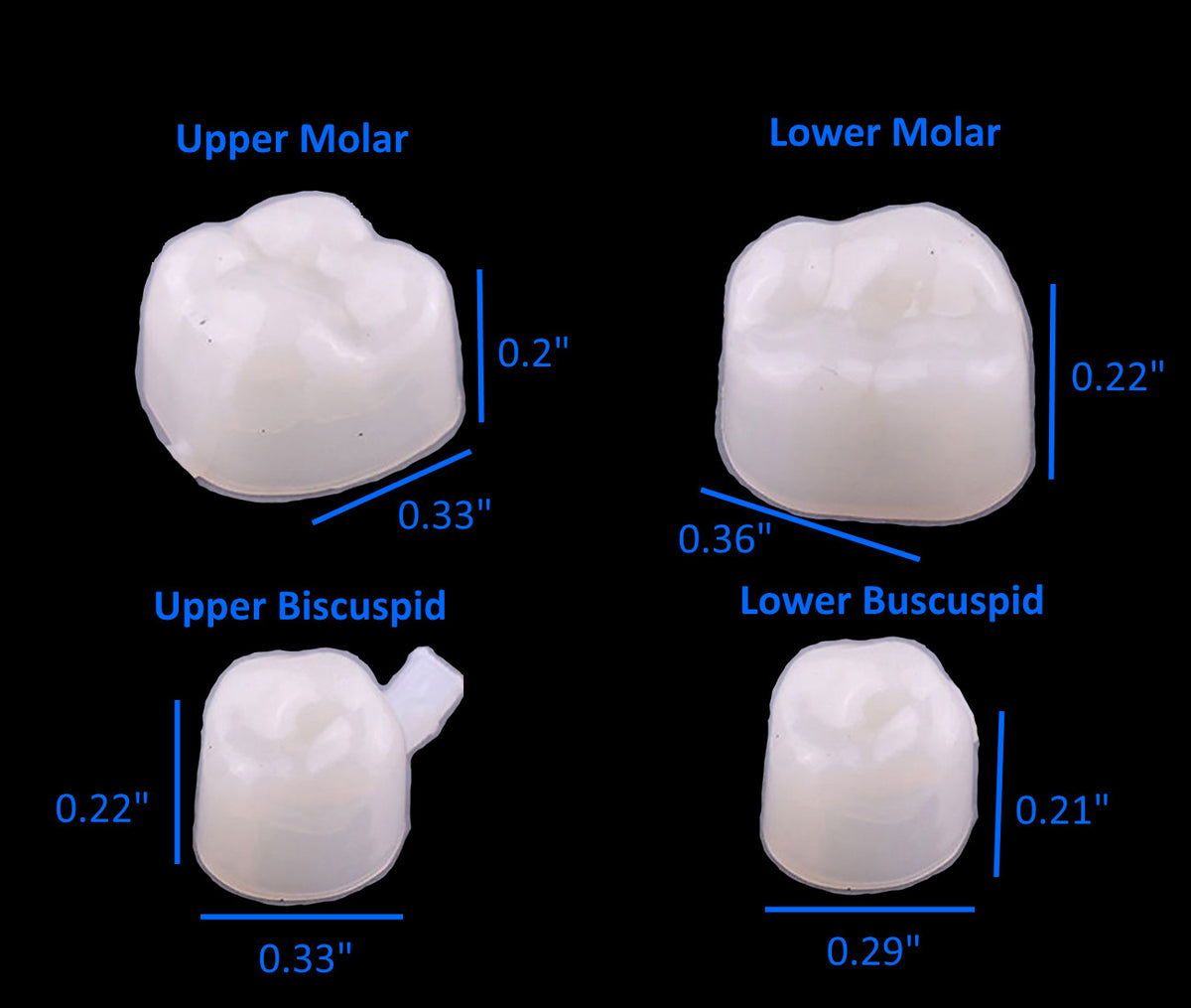 Temporary Dental Crown Kit for Molars - Pack of 50