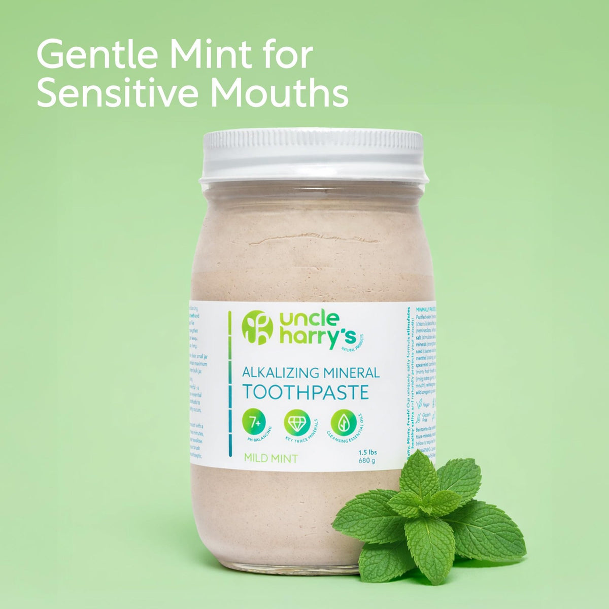 Remineralizing Mint Toothpaste 1.5 lbs Natural Whitening Enamel Support