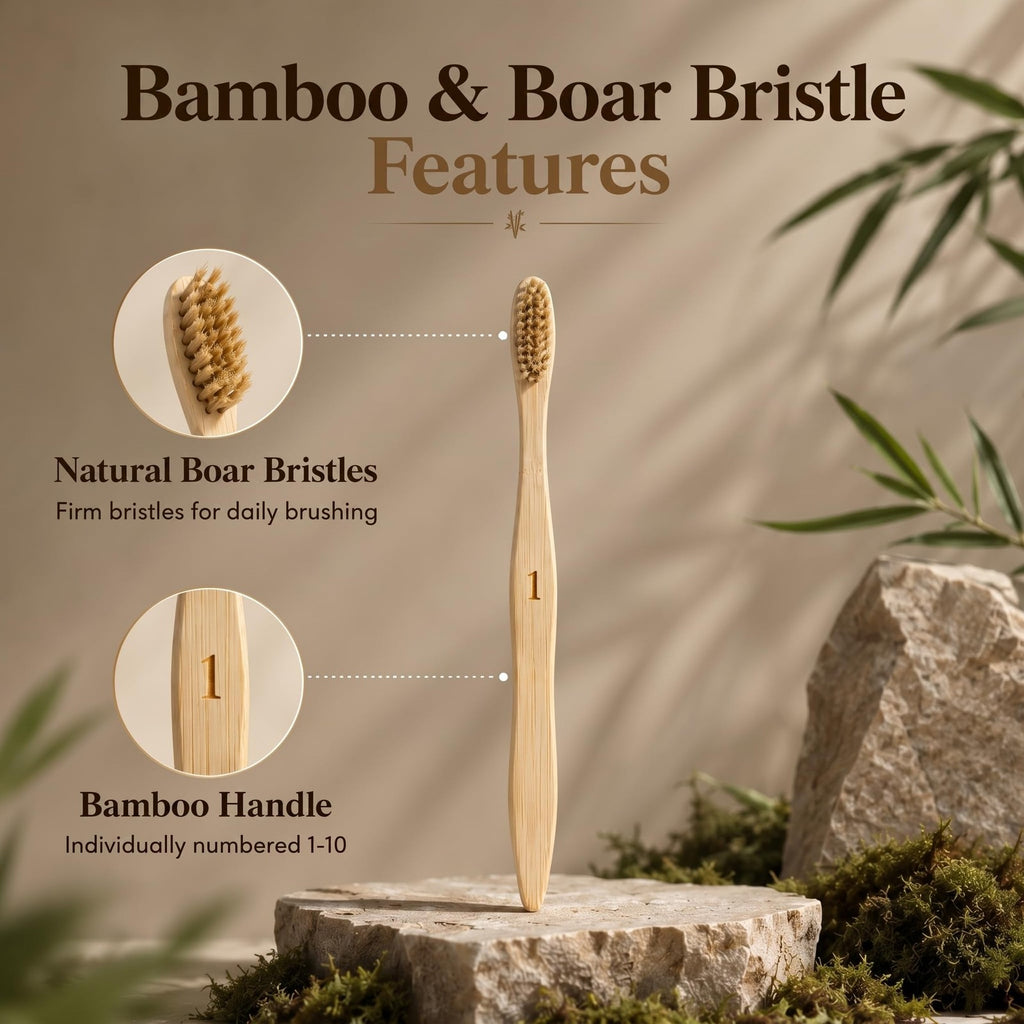 Boar Bristle Bamboo Toothbrush 10 Pack - Plastic-Free, Numbered Adult Set
