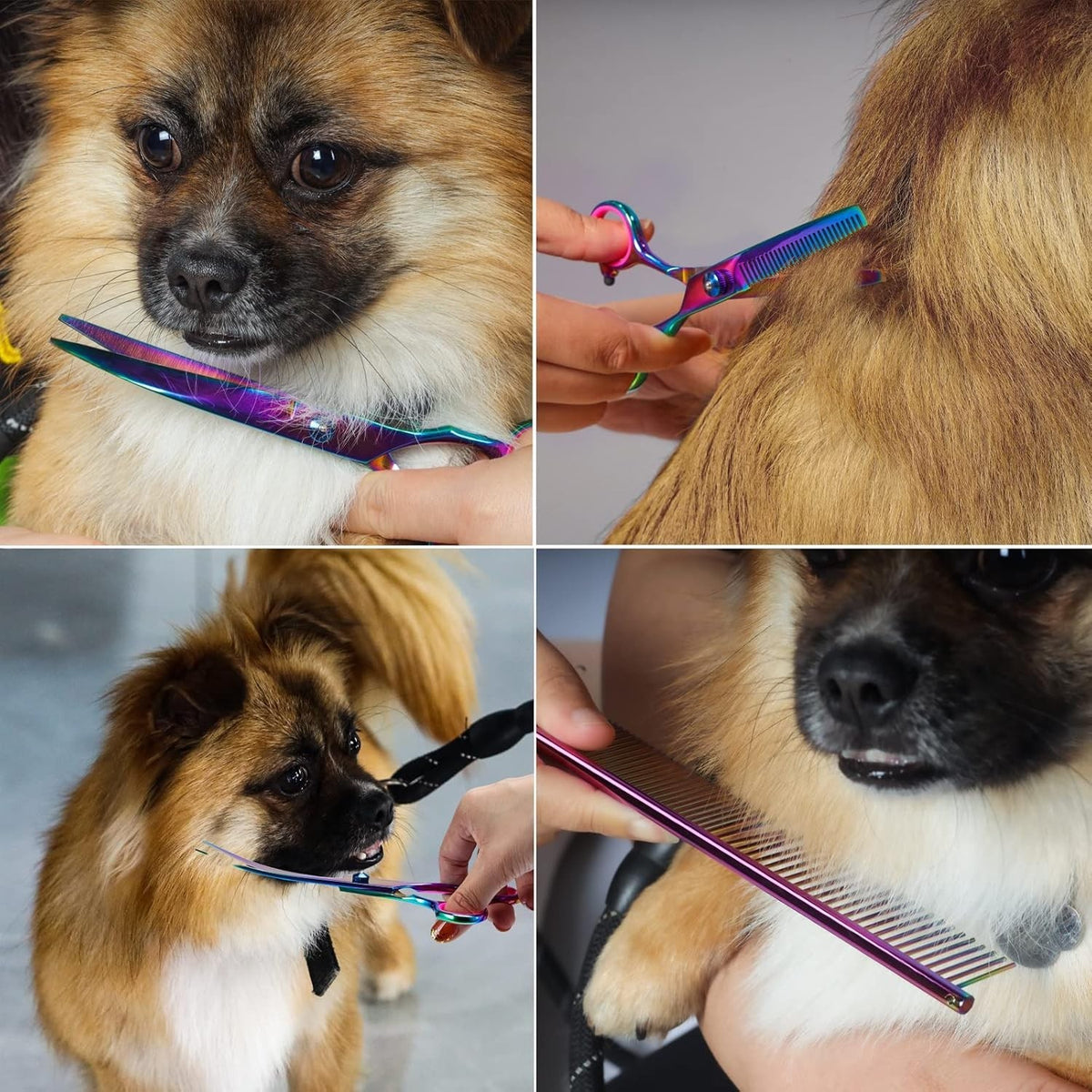 Pet Grooming Scissors Kit with Curved, Straight & Thinning Shears Stainless Steel Comb