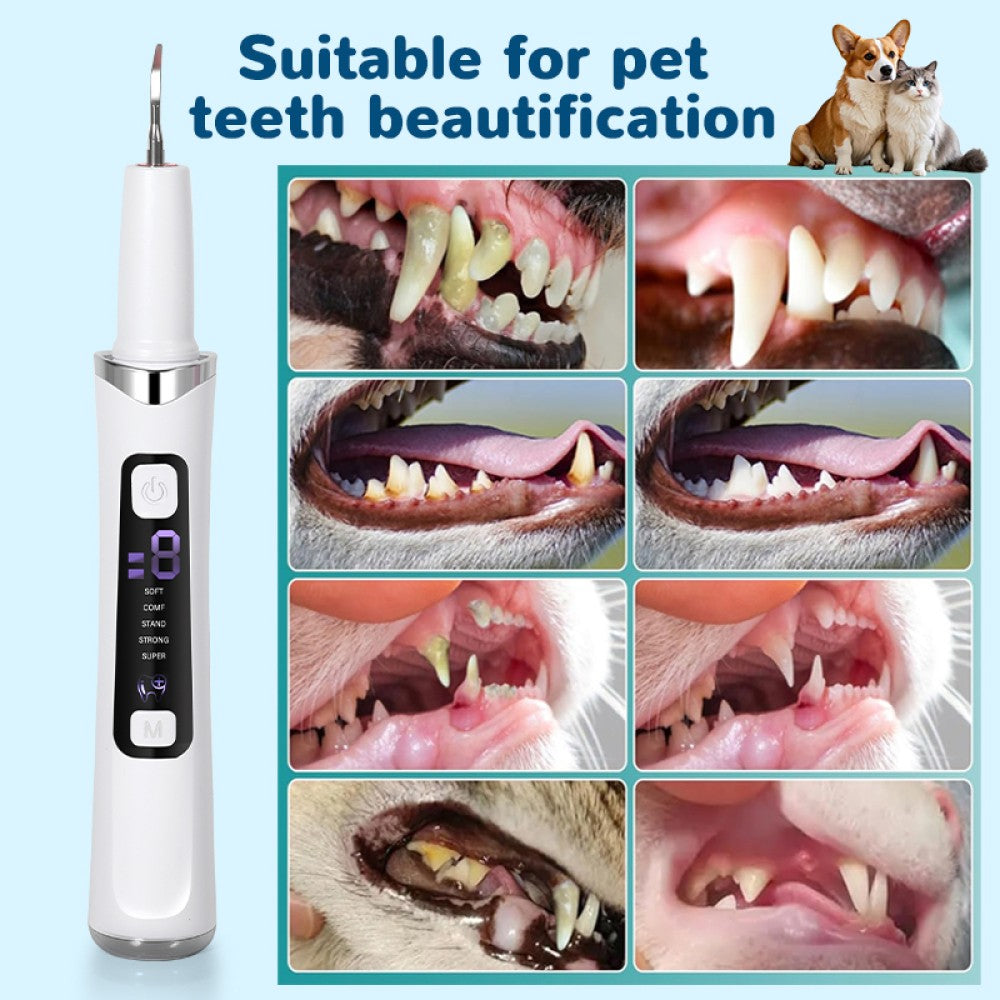 Ultrasonic Dental Tooth Cleaner Tartar & Plaque Remover with LED Light