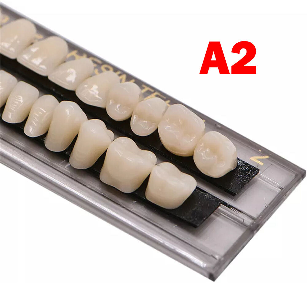 Dental Acrylic Resin Denture Set for Upper and Lower Teeth - Multiple Shades