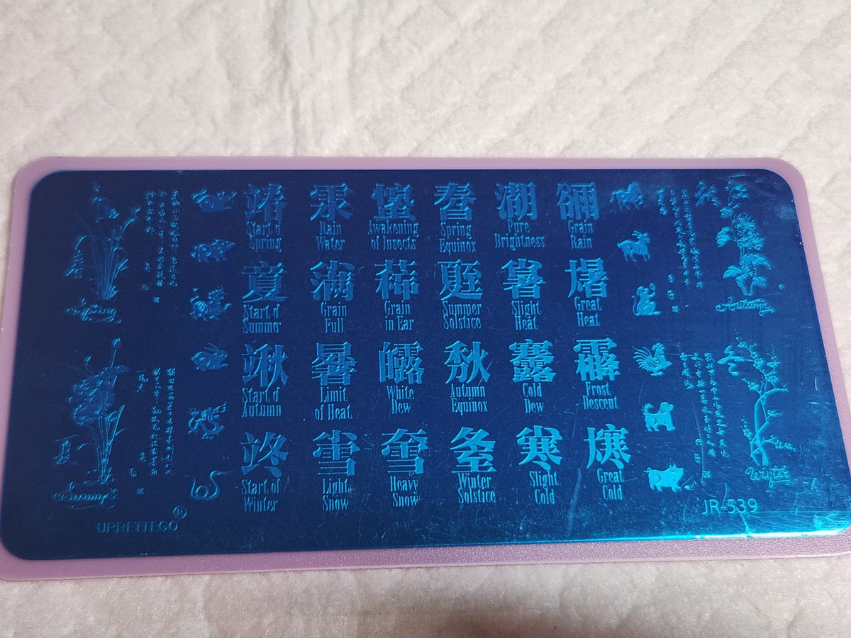 Nail Stamping Plate JR-539 for Nail Art & Design