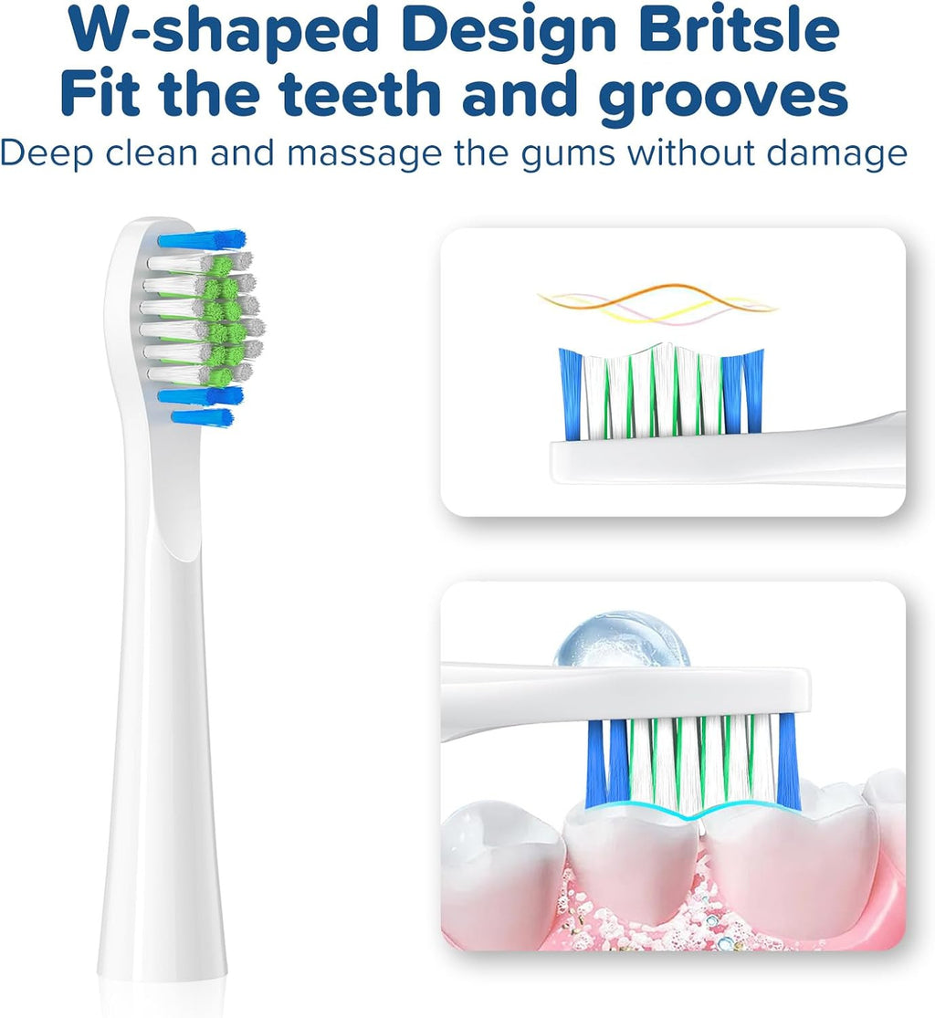 10 Pack Replacement Toothbrush Heads for Bitvae D2 Electric Toothbrush