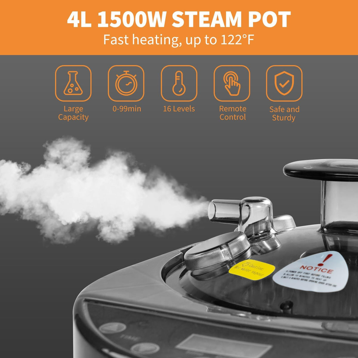 4L Portable Sauna Steamer Pot with Remote Control for Home Spa & Detox