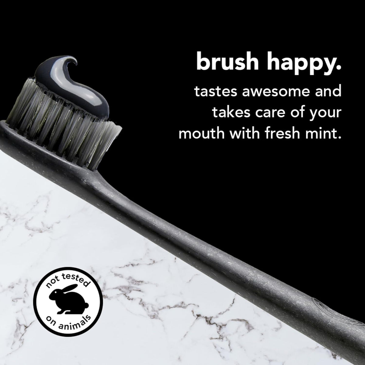 Activated Charcoal Whitening Toothpaste Fluoride-Free Dental Care